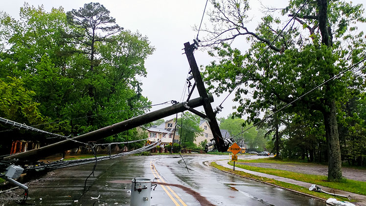 Downed powerline on road