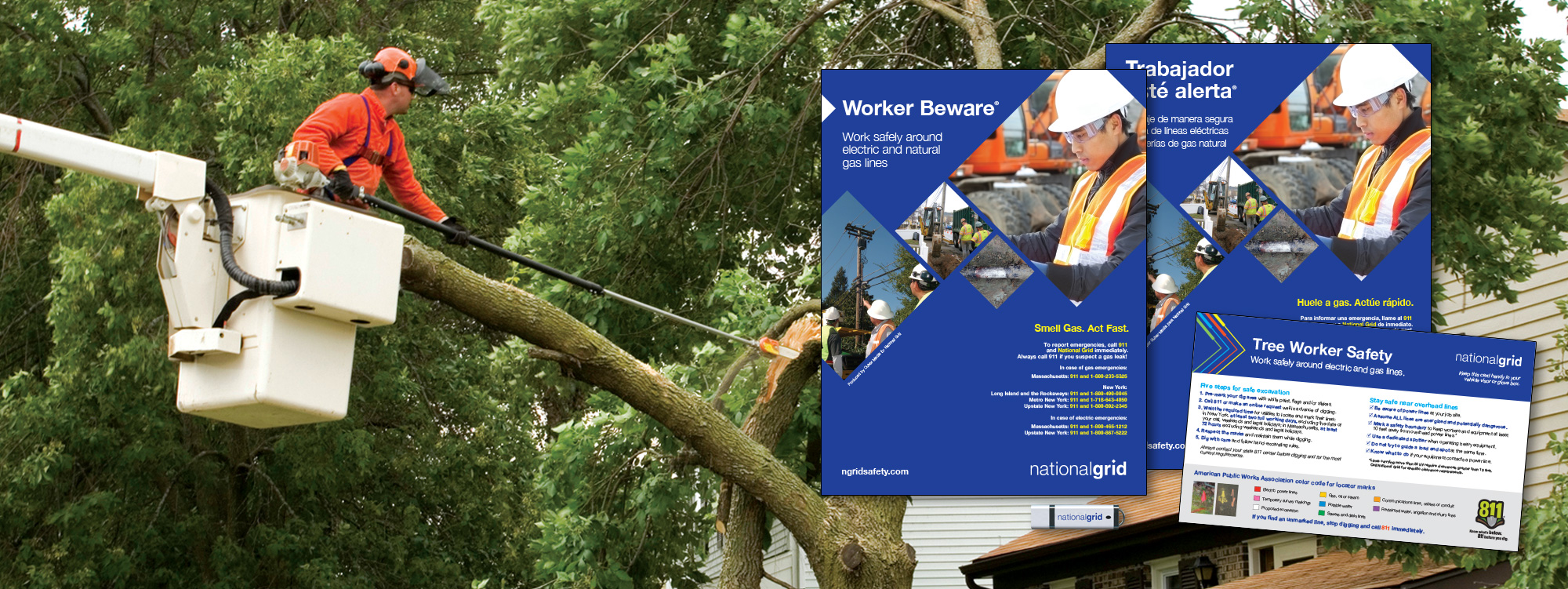 Order tree worker safety training materials